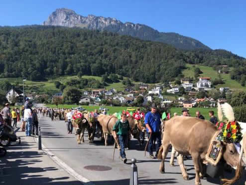 Ortsgemeinde-news-2019-11-2.jpg 
