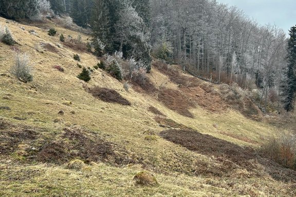 weidepflege-malanserholz-02.jpg  