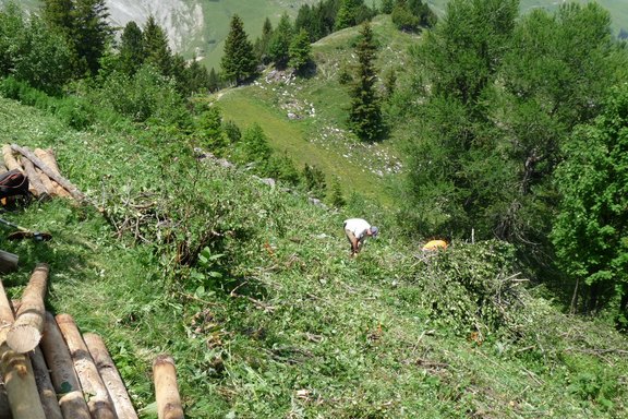 ogw-lawinenverbauung-05.JPG  