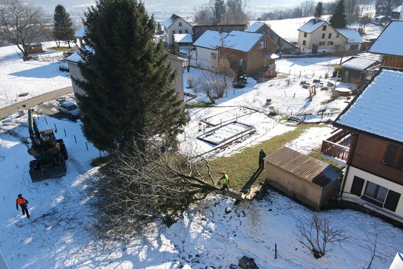 gartenholzerei-3.jpg  