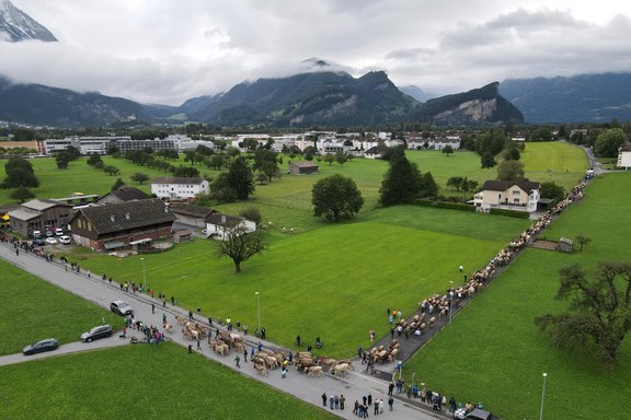 buergertag-32.jpg  