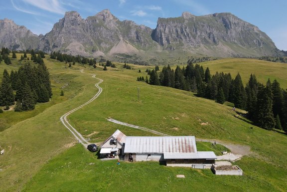 Alpstafel Forggili