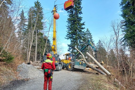 seilholzen2024-21.jpg  