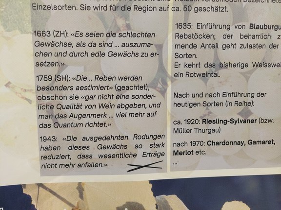 800jahre-16.jpg  