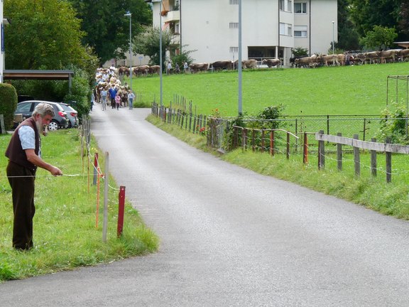 alpabfahrt-2025-03.JPG  