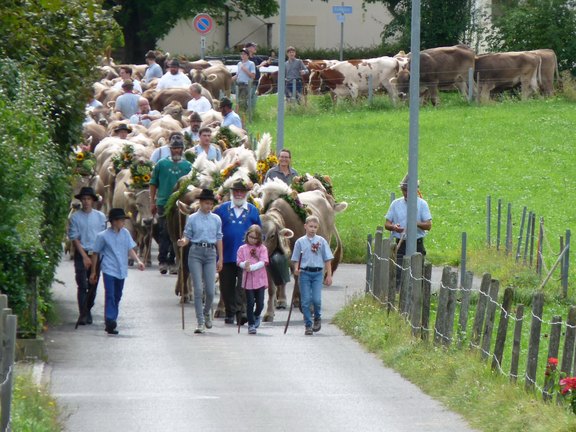 alpabfahrt-2025-04.JPG  