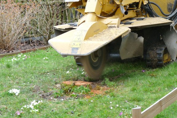 gartenholzerei-2.jpg  