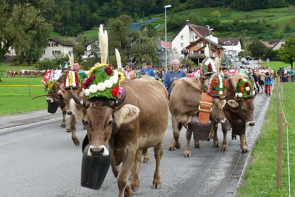 buergertag-34.jpg  