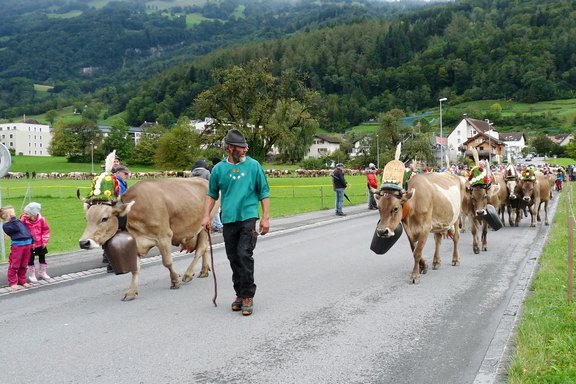 buergertag-33.jpg  