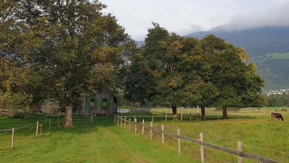 Tratt Rheinau