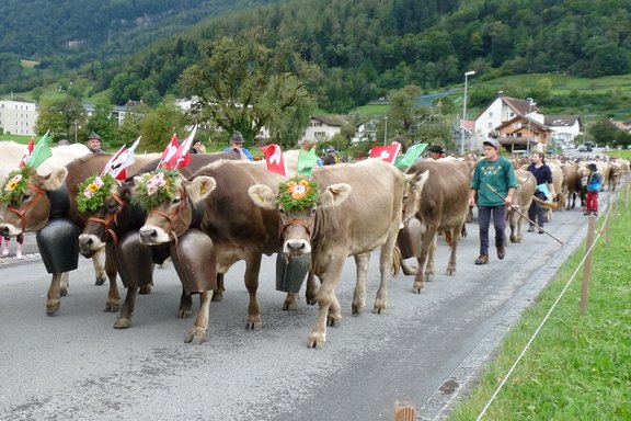 buergertag-35.jpg  