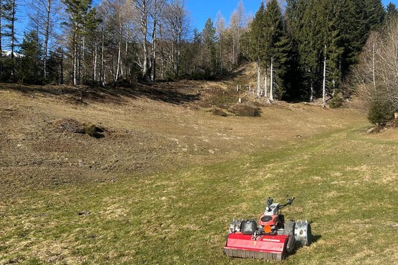 weidepflege-malanserholz-05.jpg  
