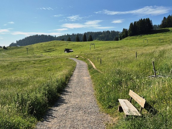 Flumserberg2026-01b.jpg  