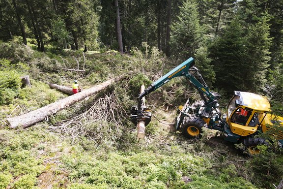 Waldarbeiten der Forstgruppe Ortsgemeinde Wartau