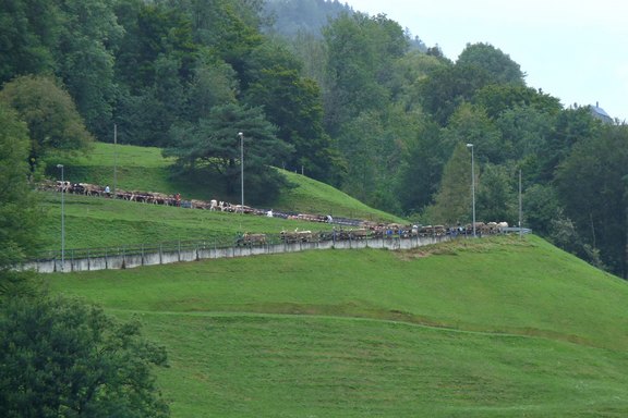 buergertag-30.jpg  