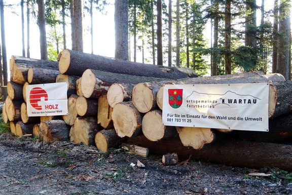 Holzschlag im Gemeindegebiet Wartau