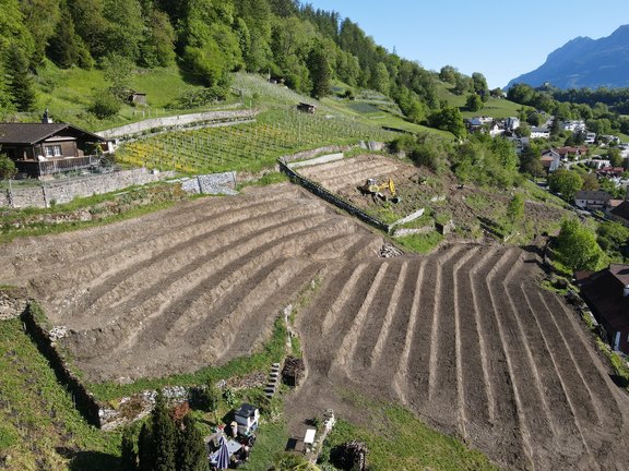 roessliwingert-15.jpg  