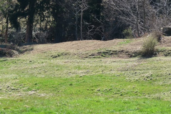 weidepflege-schanerholz-08.JPG  