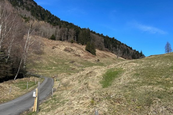weidepflege-schanerholz-01.jpg  