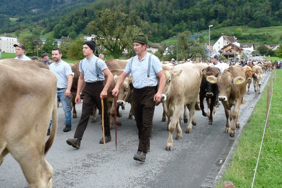 buergertag-36.jpg  