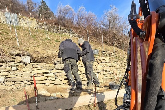 Instandstellung Trockenmauern Rössliwingert  
