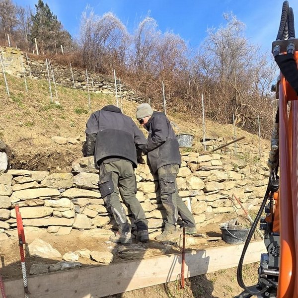 Instandstellung Trockenmauern Rössliwingert