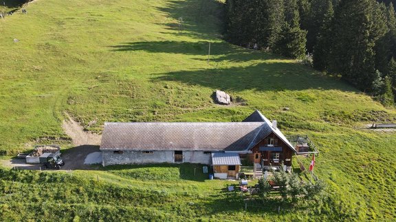 Rütigut