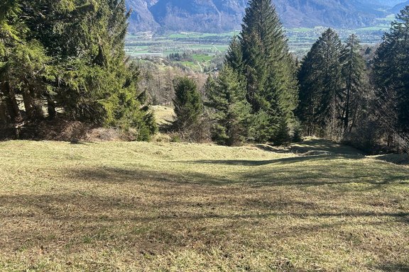 weidepflege-schanerholz-07.jpg  