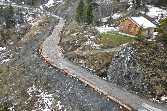Sanierung Wald- und Alpenstrasse