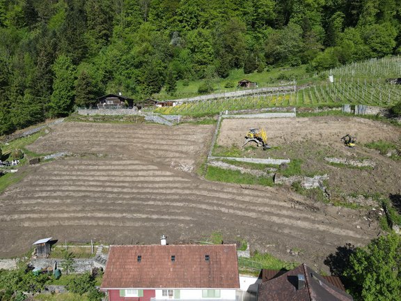 roessliwingert-14.jpg  
