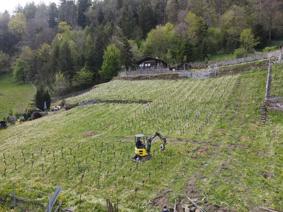 roessliwingert-06.jpg  