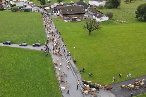 buergertag-37.jpg  