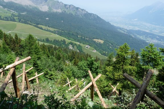 ogw-lawinenverbauung-11.JPG  